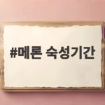 메론 숙성기간 제대로 지키는 보관법 메론 숙성기간