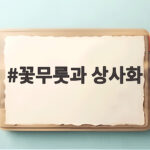 꽃무릇과 상사화 차이와 개화시기 축제 정보 꽃무릇과 상사화