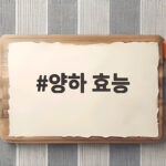 가을 제철 양하 효능과 올바른 섭취 방법 양하 효능