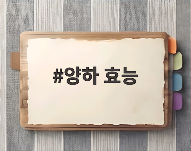 양하 효능