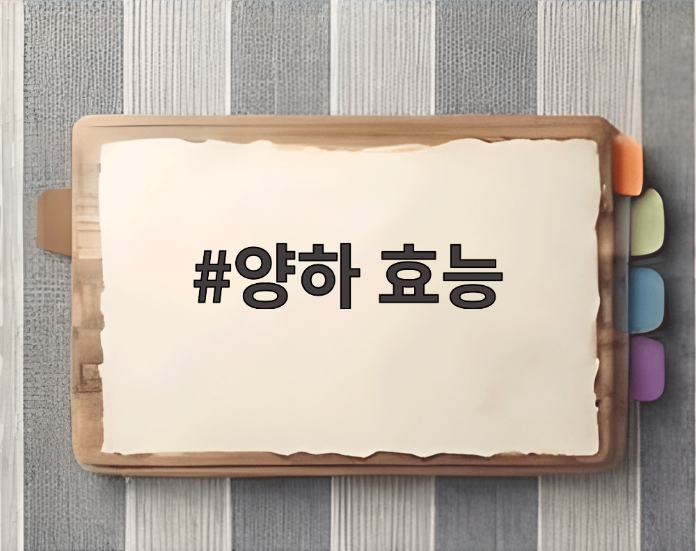 양하 효능