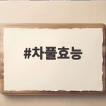 차풀효능