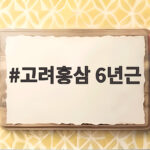 고려홍삼 6년근 선물로 좋은 이유 고려홍삼 6년근