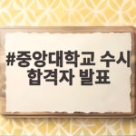 2027 중앙대 수시 합격자 발표 일정 확인 중앙대학교 수시 합격자 발표