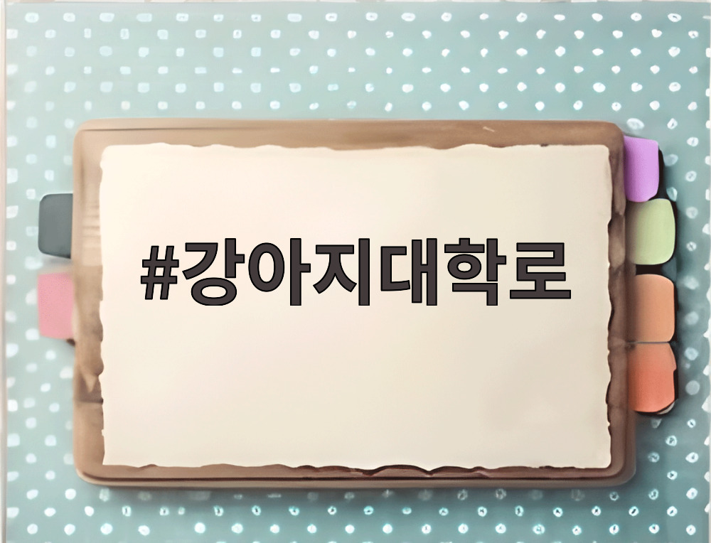 강아지대학로