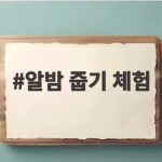 가을 알밤 줍기 체험 시기와 준비물 알밤 줍기 체험