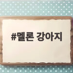 멜론 강아지 급여 방법과 주의사항 총정리 멜론 강아지