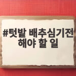 텃밭배추심기전필수준비와관리법 텃밭 배추심기전 해야 할 일