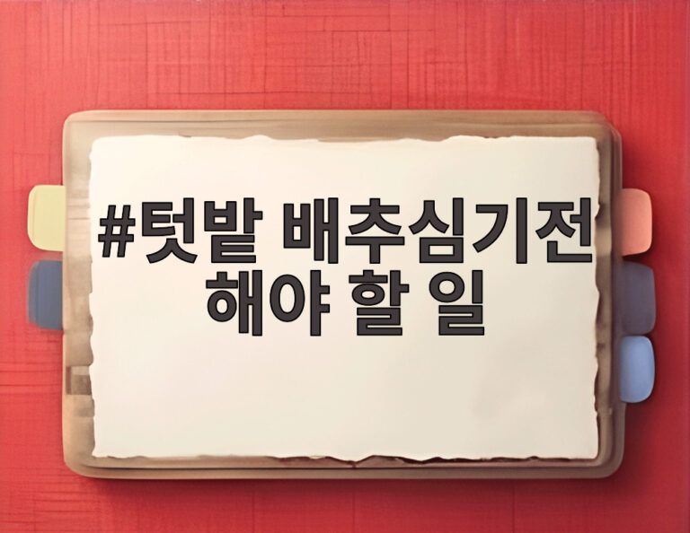 텃밭 배추심기전 해야 할 일