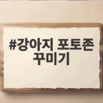 강아지 포토존 꾸미기, 집에서 뚝딱 강아지 포토존 꾸미기