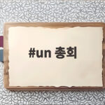 un 총회