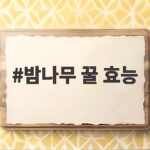 밤나무 꿀 효능과 맛있게 먹는 방법 밤나무 꿀 효능