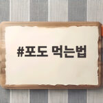 포도 먹는법 씻어 먹고 보관하는 방법 포도 먹는법