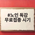 노인 독감 무료접종 시기 연령별 일정 정리 노인 독감 무료접종 시기