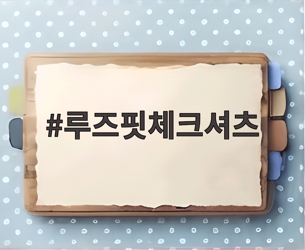 루즈핏체크셔츠