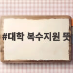 대학 복수지원 뜻