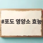 포도 영양소 효능