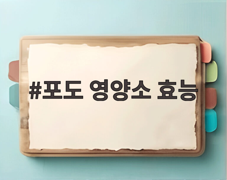 포도 영양소 효능