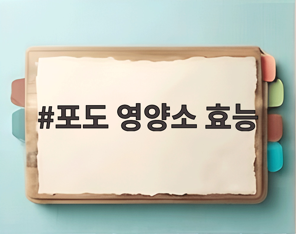 포도 영양소 효능