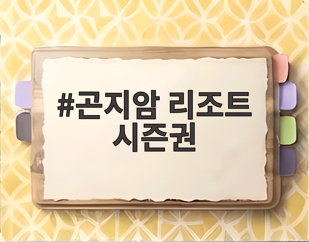 곤지암 리조트 시즌권
