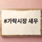 가락시장 새우