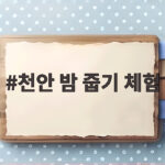 천안 밤줍기 체험 유성농원 가을 추억 천안 밤 줍기 체험
