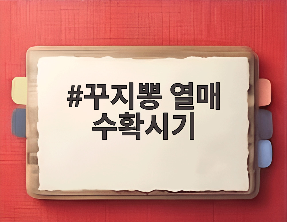 꾸지뽕 열매 수확시기