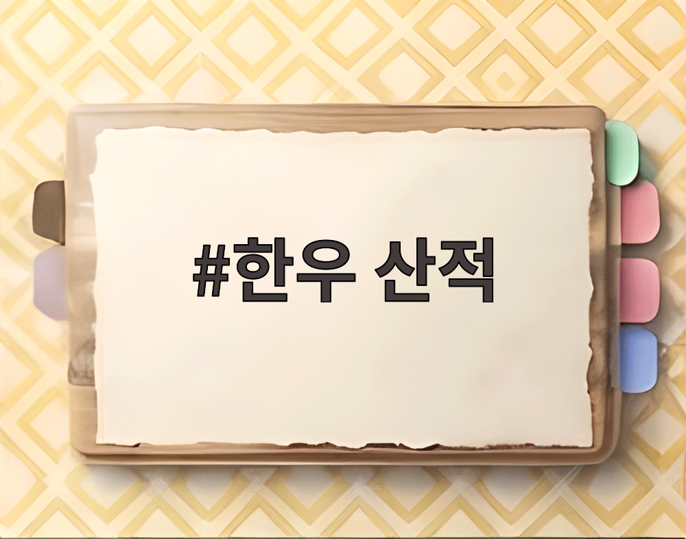 한우 산적