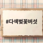 다색벚꽃버섯 효능과 채취 시기 총정리 다색벚꽃버섯