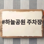 하늘공원 주차장 어디가 좋을까 억새축제 실전 정보 하늘공원 주차장