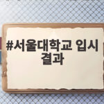2026 서울대 정시 입결 분석과 지원 전략 서울대학교 입시 결과