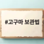 고구마 보관법 이것만 알면 한 박스도 걱정 없어요 고구마 보관법