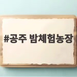 공주 밤체험농장 가을 체험 후기 공주 밤체험농장