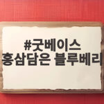 굿베이스 홍삼담은 블루베리 맛과 효능 굿베이스 홍삼담은 블루베리