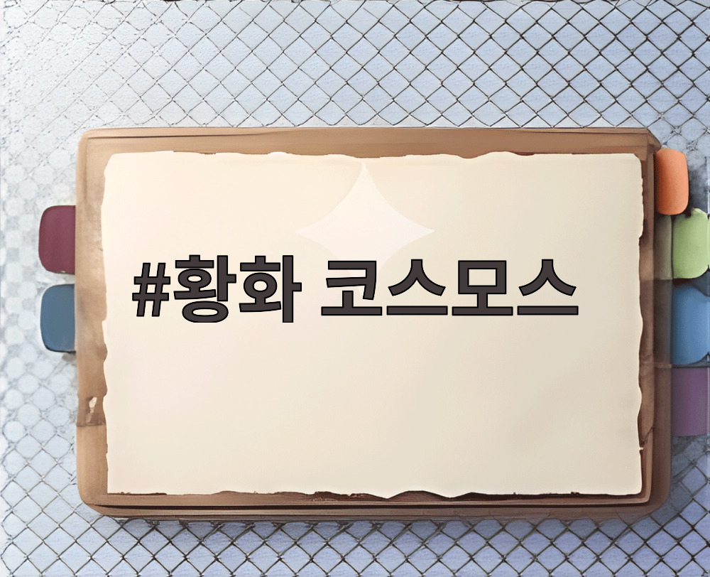 황화 코스모스