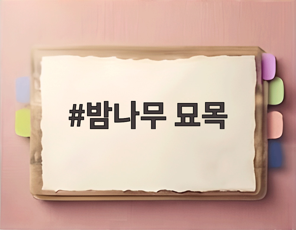 밤나무 묘목