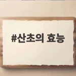 산초의 효능 제대로 알면 추어탕 한 그릇이 달라집니다 산초의 효능