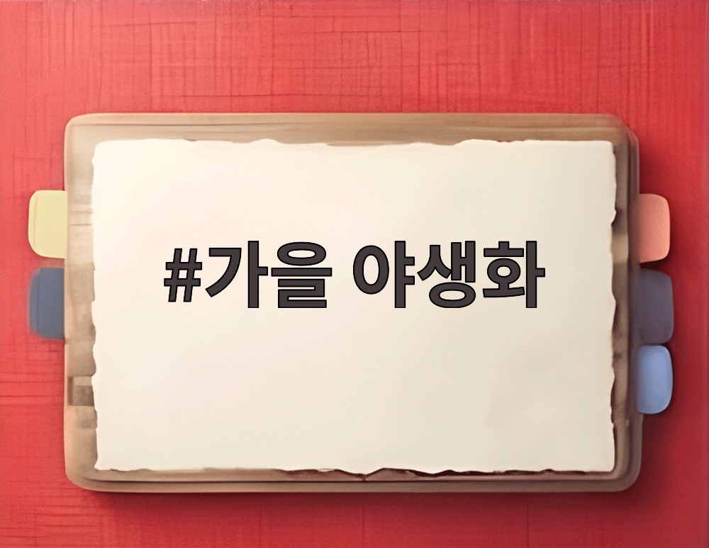 가을 야생화