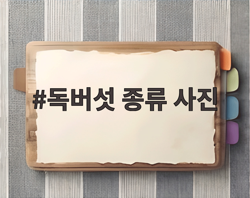 독버섯 종류 사진