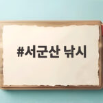 서군산 낚시 출조 전 확인하면 조과가 달라지는 이유 서군산 낚시