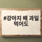 강아지 배 과일 먹어도