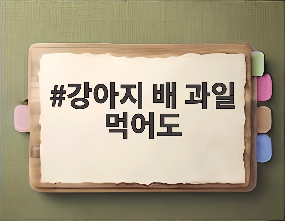 강아지 배 과일 먹어도