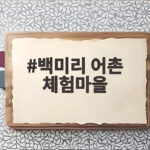 백미리 어촌 체험마을 갯벌체험 비용 준비물 실제 후기 총정리 백미리 어촌 체험마을