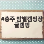 충주 밤별캠핑장 글램핑, 가을밤 별빛 아래서 밤줍기 체험까지 충주 밤별캠핑장 글램핑