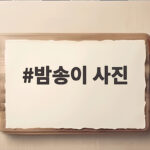 밤송이 사진