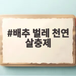 배추 벌레 천연 살충제 직접 만들어 건강한 배추 수확하는 방법 배추 벌레 천연 살충제