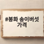 봉화 송이버섯 가격 2026년 10월 축제 전 꼭 확인할 시세 정보 봉화 송이버섯 가격