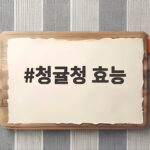 청귤청 효능, 완숙 귤보다 영양 많은 제철 풋귤 활용법 청귤청 효능