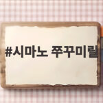 시마노 쭈꾸미릴 어떤 모델이 좋을까 나에게 맞는 선택 방법 시마노 쭈꾸미릴