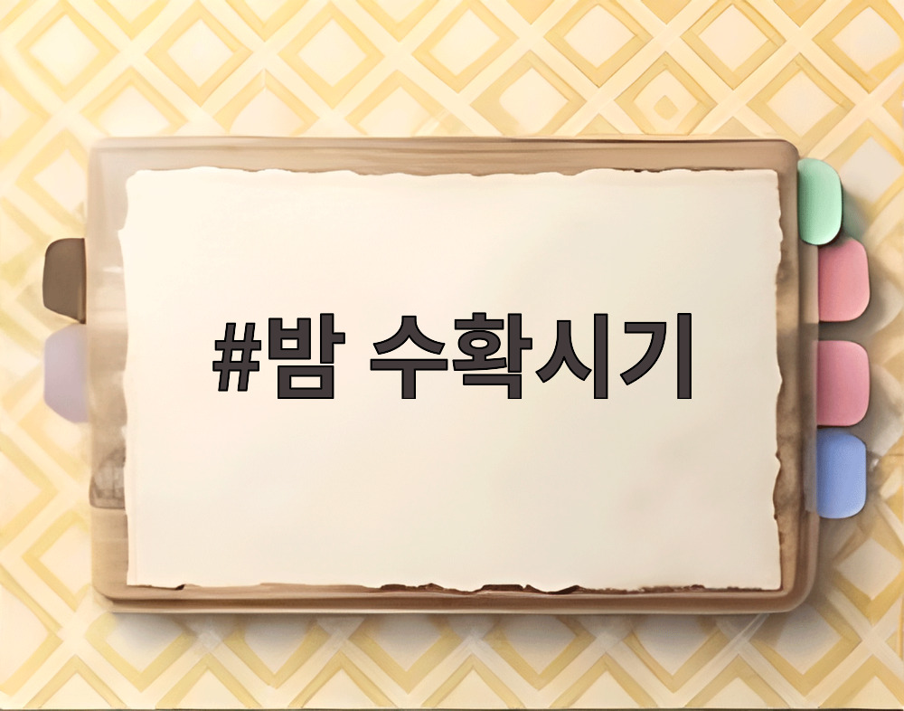 밤 수확시기 갈색으로 변하고 벌어진 밤송이와 윤기 나는 알밤